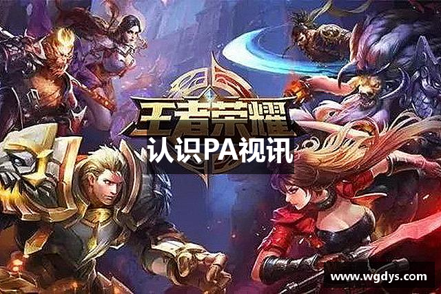 认识PA视讯
